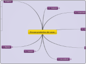 Proceso productivo del cacao.  - Mapa Mental