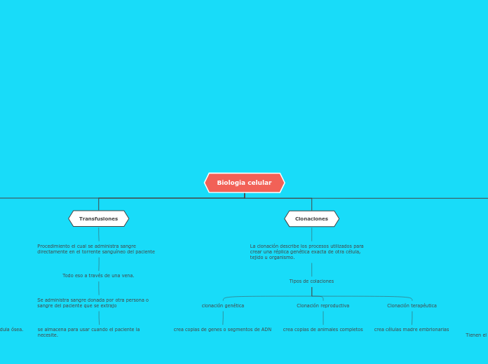 Biologia celular - Mapa Mental