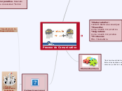 Proceso de Comunicativo - Mapa Mental