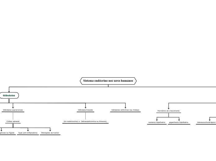 Sistema endócrino nos seres humanos