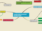 LAKE ERIE'S ALGAE EXPLOSION - Mind Map