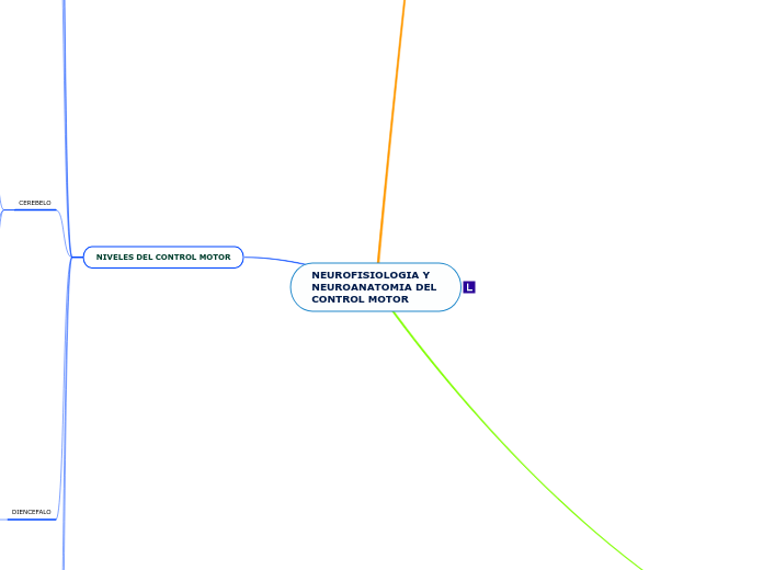 NEUROFISIOLOGIA Y 
NEUROANATOMIA DEL 
CONTROL MOTOR