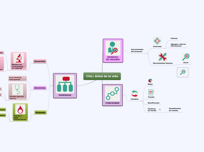 iTOL: Árbol de la vida - Mapa Mental