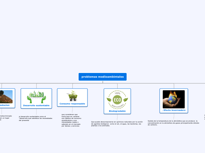 problemas medioambintales