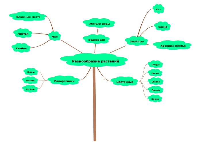 Разнообразие растений - Мыслительная карта