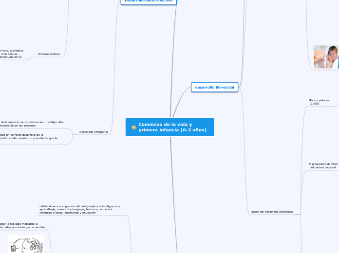 Comienzo de la vida y primera infancia (0-2 años)