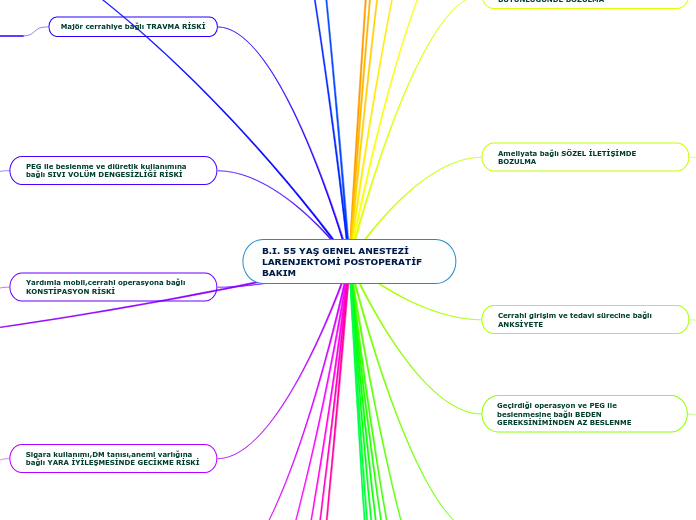 B.I. 55 YAŞ GENEL ANESTEZİ LARENJEKTOMİ POSTOPERATİF BAKIM