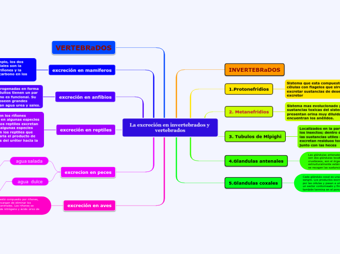 La excreción en invertebrados y vertebrados