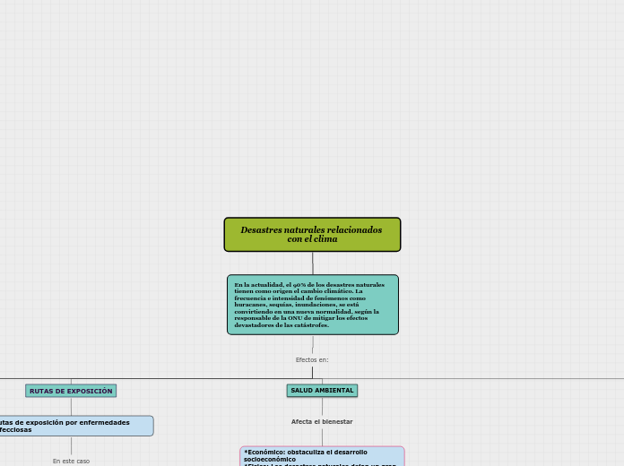 Mapa conceptual Ambiente