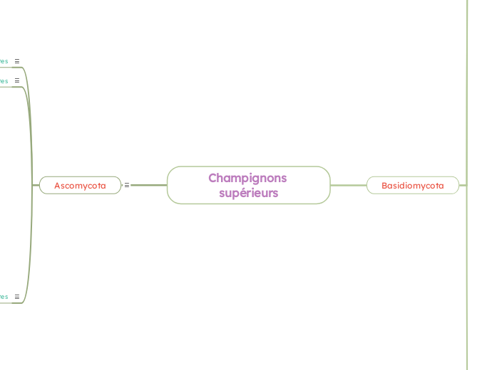 Champignons supérieurs