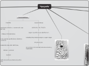 Tipografia - Mapa Mental