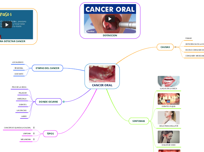 CANCER ORAL