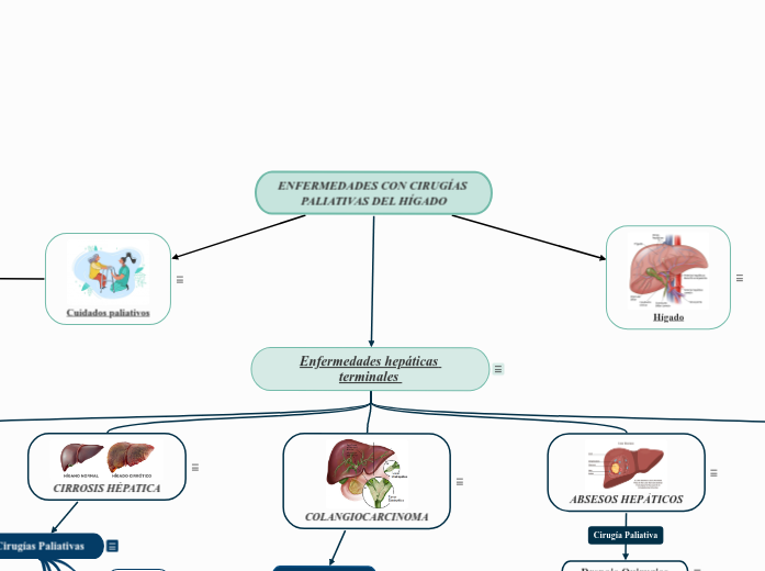 ENFERMEDADES CON CIRUGÍAS PALIATIVAS DEL HÍGADO