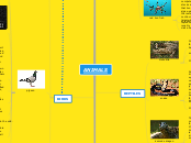 3E Animals (Group 5)