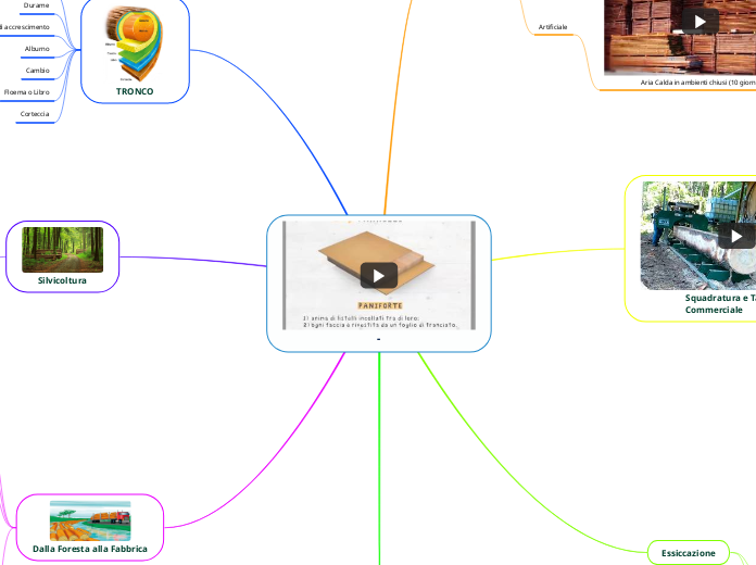 - - Mappa Mentale