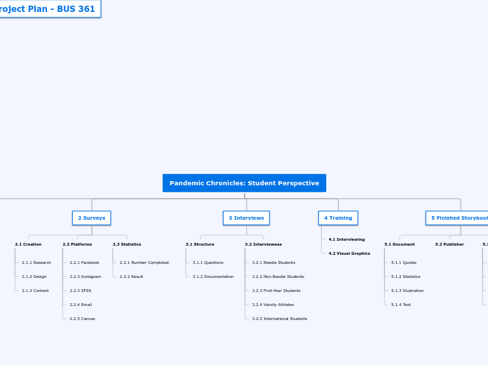 Project Plan - BUS 361