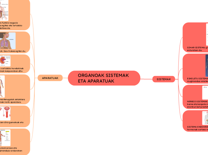 ORGANOAK SISTEMAK ETA APARATUAK