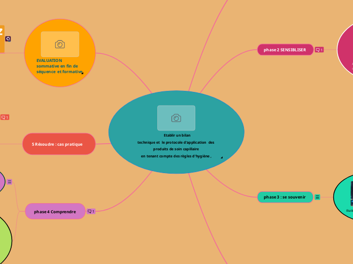  Etablir un bilan
technique et  le protocole d'application  des produits de soin capillaire 
en tenant compte des règles d'hygiène ,
de sécurité et d'ergonomie en 1h 30  sur modèle ayant les
cheveux de type boucle frisé ou crépus   