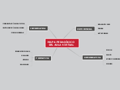 MAPA PEDAGÓGICO 
DEL AULA VIRTUAL - Mapa Mental