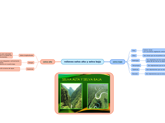 relieves selva alta y selva baja
