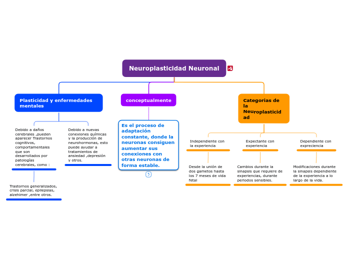 Neuroplasticidad Neuronal