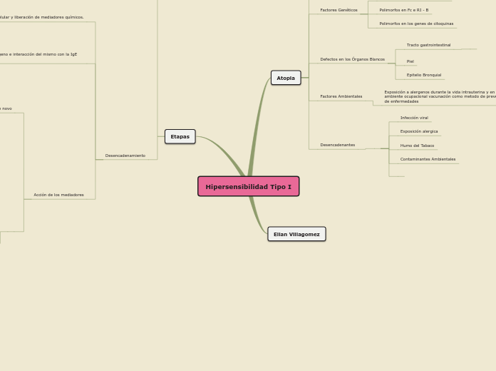 Hipersensibilidad Tipo I - Mapa Mental