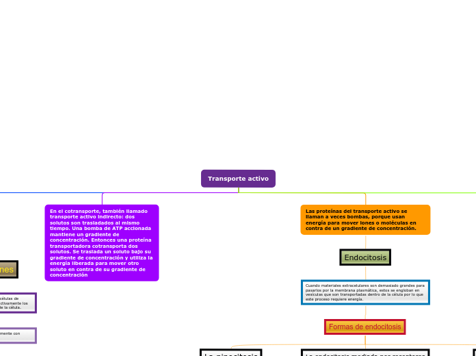 Organigrama arbol