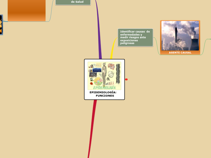 EPIDEMIOLOGÍA:   
 FUNCIONES - Mapa Mental