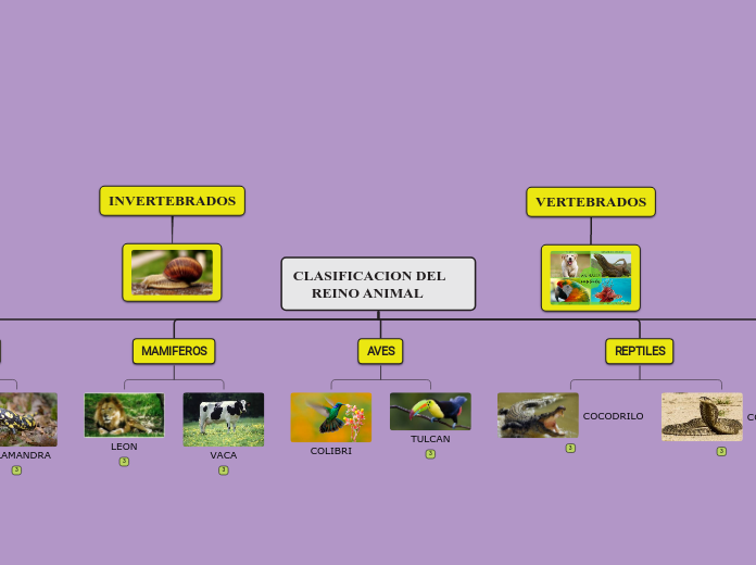 CLASIFICACION DEL     
     REINO ANIMAL