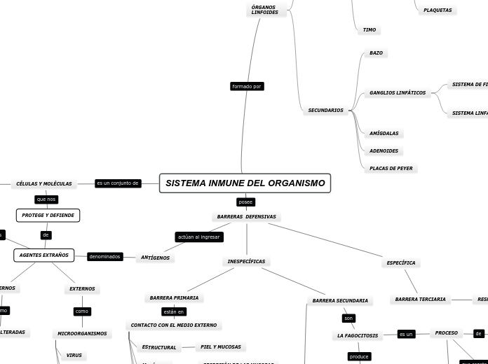 SISTEMA INMUNE DEL ORGANISMO