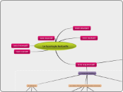 La typologie textuelle - Carte Mentale