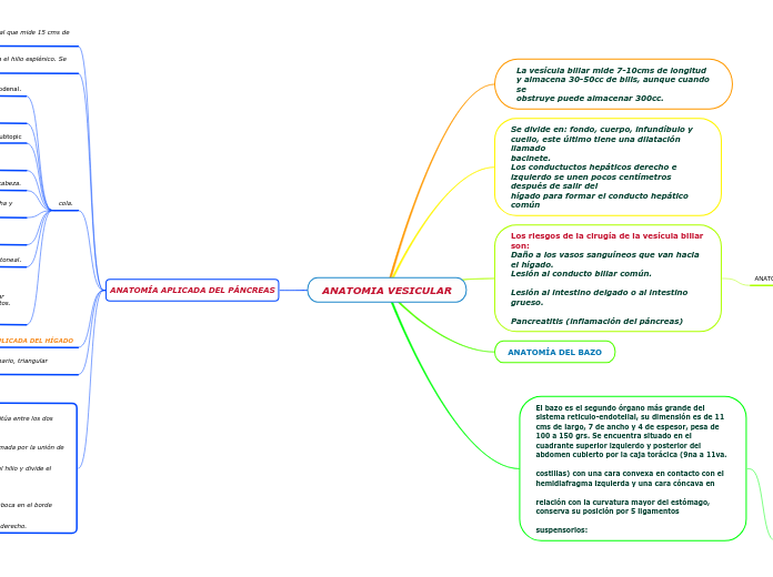 ANATOMIA VESICULAR