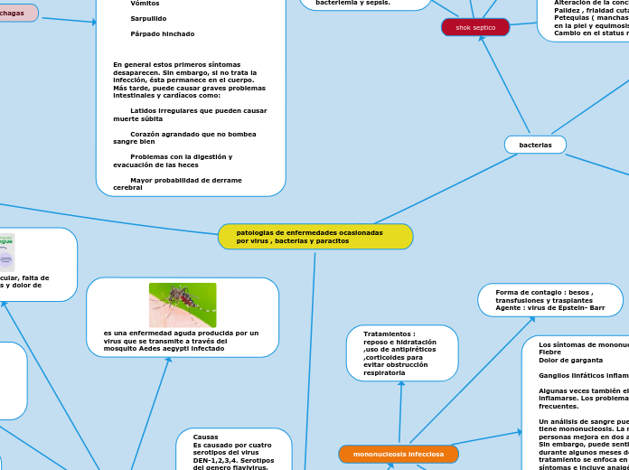patologias de enfermedades ocasionadas por virus , bacterias y paracitos