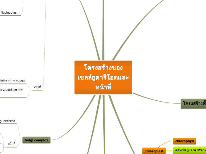 โครงสร้างของเซลล์ยูคาริโอตและหน้าที่ - Mind Map