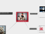 Felix Baumgartner - Mind Map