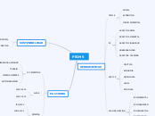 PRIMS - Mapa Mental