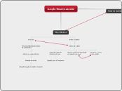 Junção Neuromuscular - Mapa Mental