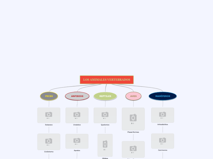 LOS AMIMALES VERTEBRADOS - Mapa Mental