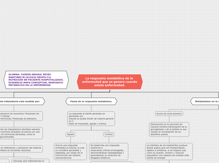 La respuesta metabólica de la enfermeda...- Mapa Mental