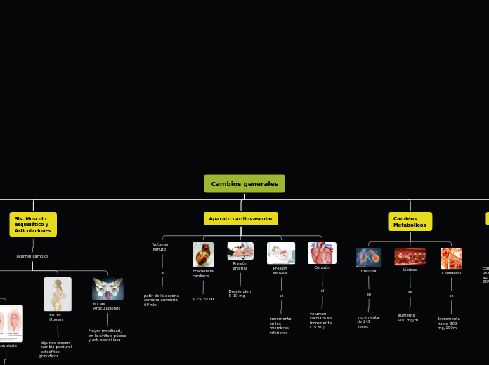 Cambios generales - Mapa Mental