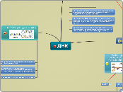 ДНК  - Мыслительная карта