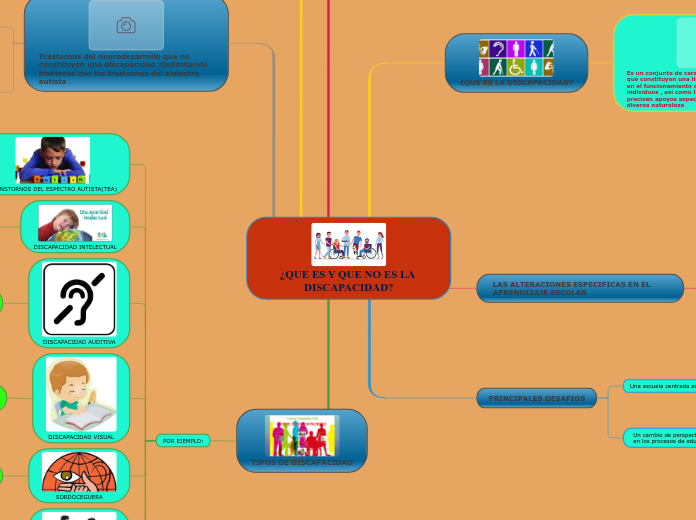 ¿QUE ES Y QUE NO ES LA DISCAPACIDAD?