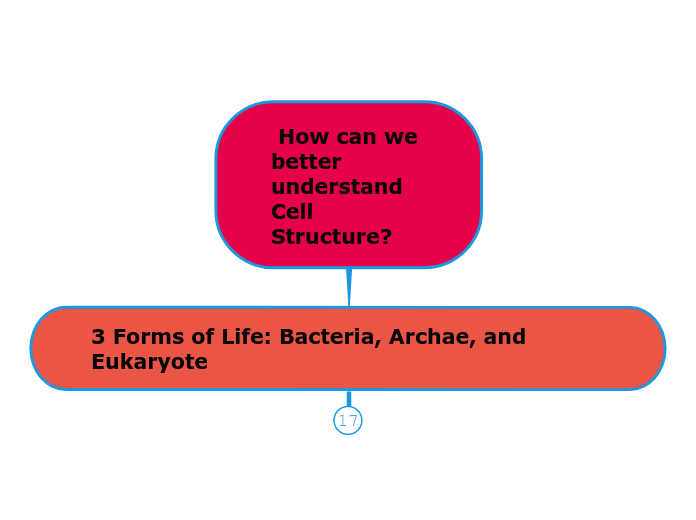  How can we better understand Cell Structure?