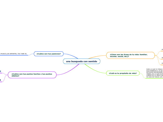 una busqueda con sentido - Mapa Mental