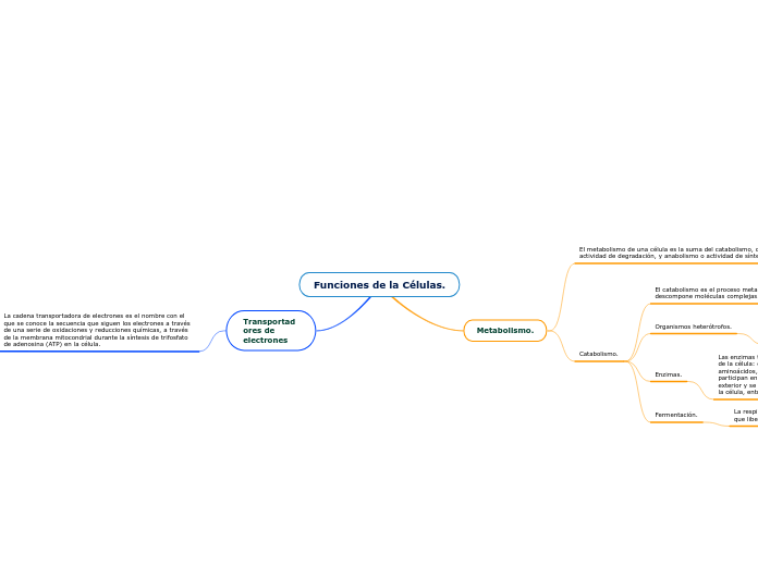 Funciones de la Células. - Mapa Mental