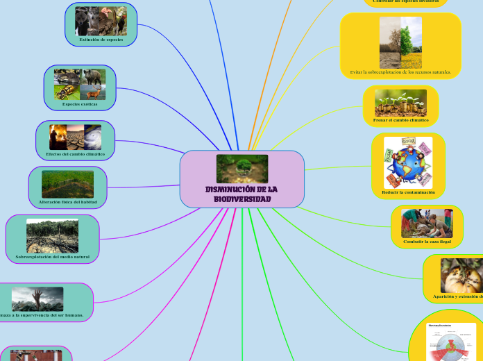 DISMINUCIÓN DE LA BIODIVERSIDAD