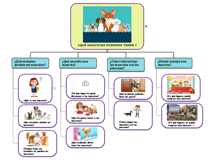 ¿QUÉ MASCOTAS PODEMOS TENER ?