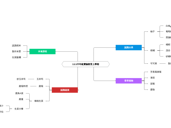 111中年級實驗教育上學期