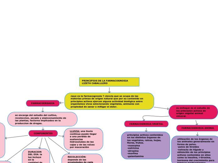 PRINCIPIOS DE LA FARMACOGNOSIA        LIZETH CABALLLERO