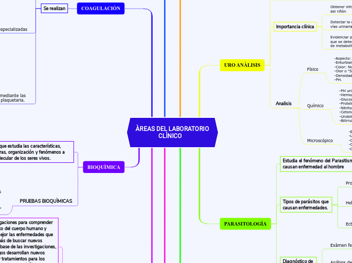ÀREAS DEL LABORATORIO               CLÌNICO